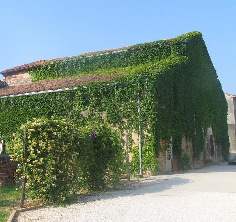 Agriturismo Ca Rossa Pegognaga Εξωτερικό φωτογραφία
